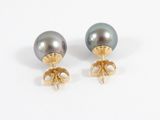 pair of tahitia pearl and gold earrings