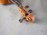 a violin that is laying on the ground
