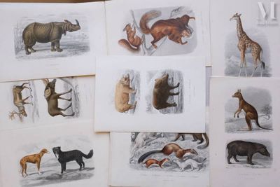 many different types of animals that are on the table