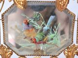 two birds that are sitting on a mirror