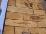 un sol carrelé orné d'un motif de feuilles et de fleurs