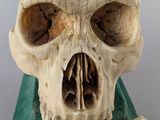 an image of a skull and crossbones on top of a book