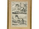 two drawings of a horse and a man on horseback in a landscape