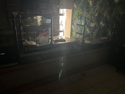 a small window in a kitchen with a lot of plants