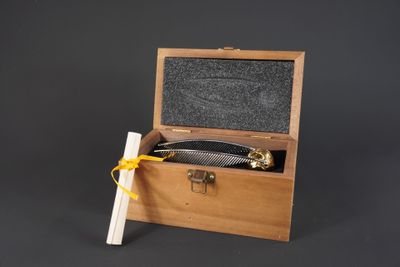 Golden Snitch 2002, dans son écrin avec son certificat