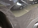 a close up of a car ' s front bumper with a cat on it