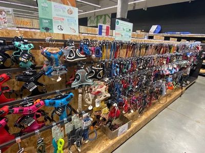 many different types of dog leashes on display in a store