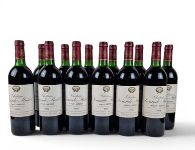 six bottles of red wine lined up in a row on a white surface