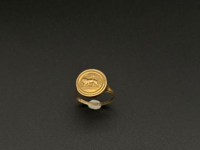 une image représentant une bague en or sur laquelle figure un cheval