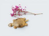 a small gold turtle sitting next to a pink flower