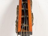 a close up of a violin neck with strings attached