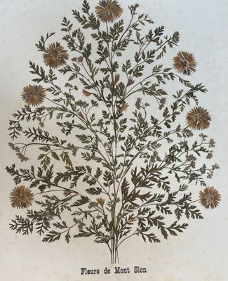 un dessin représentant un arbre orné de feuilles et de fleurs