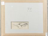 an image of a drawing of a bird in a frame