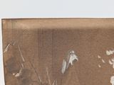 a brown and white picture of a cat and a bird on a table