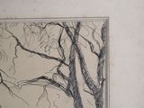 a picture of a drawing of a tree on the wall