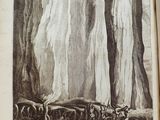 an old book with a picture of a herd of sheep in the woods