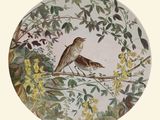 une assiette sur laquelle sont représentés deux oiseaux perchés sur une branche d'arbre