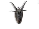 a small antelope head mounted on a wall