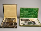 two knives in a case on the table