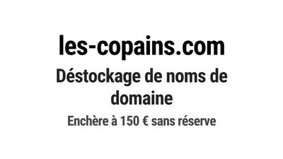 Nom de domaine les-copains.com.