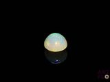 an oplite in the dark with a reflection on the ground