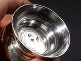 a person holding a silver cup in their hand