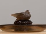 un oiseau perché au-dessus d'un bol