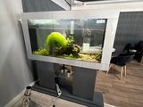 un aquarium posé sur un meuble dans un coin de la pièce
