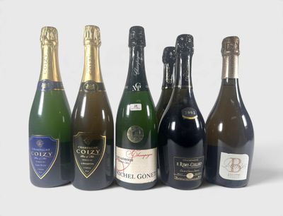 six bouteilles de vin sont alignées sur une surface blanche