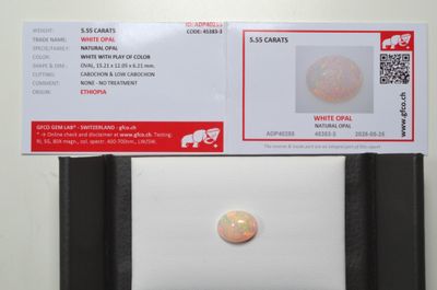 une photo d'une carte blanche sur laquelle figure l'image d'un oplite