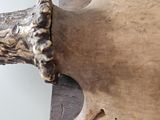 a piece of wood that has been carved into a bird ' s head