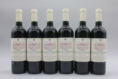 six bouteilles de vin rouge sont alignées
