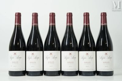 six bouteilles de vin rouge sont alignées sur une table