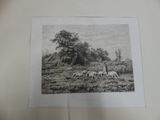a black and white picture of a herd of sheep in a field