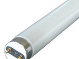 le tube fluorescent est blanc et possède un culot de couleur dorée