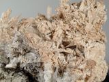 a close up of a piece of rock on a table