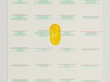 an image of a piece of paper with a yellow piece of fruit on it