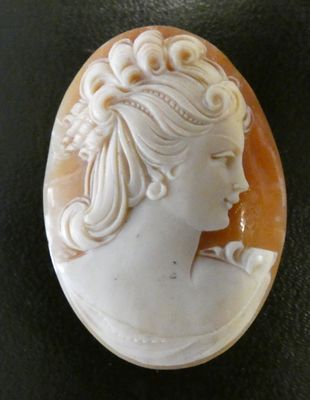 le visage d'une femme est sculpté dans un coquillage