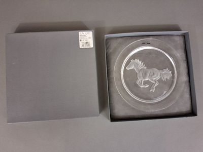 une plaque de verre représentant un cheval, dans une boîte