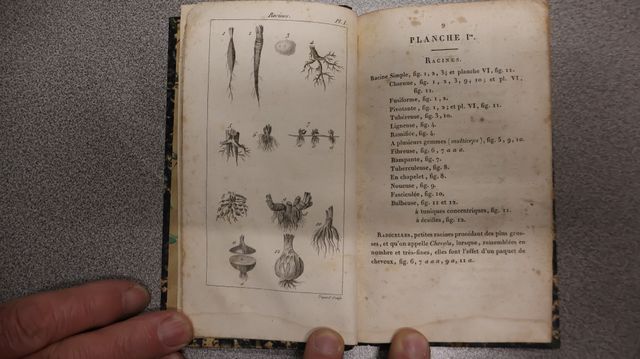 « Jardinier » nombreuses planches