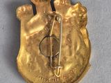 an image of a gold brooch with a pin on it