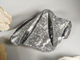 a rock that has a piece of paper on top of it
