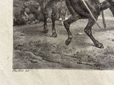 a drawing of a man riding a horse with a sword