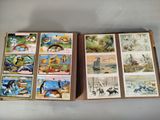 a lot of cards on the table with pictures of animals