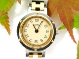 a gold and silver wrist watch sitting on a leafy branch