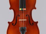 a close up of a violin on a white background