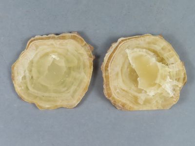 deux tranches de pain posées l'une à côté de l'autre sur une table