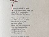 Photo 1/1 du lot