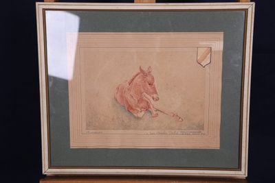 une vieille photo d'un cheval avec une pipe dans la bouche