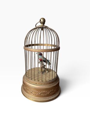 a bird in a cage with a bird inside of it
